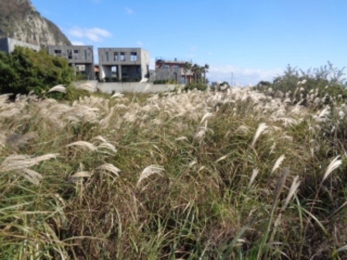 소재지2(사계리 334-1) 전경 사진