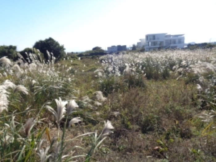 소재지1(사계리 333) 전경 사진