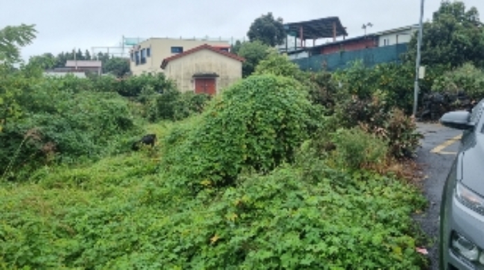 소재지1(토평동 2034-4) 전경