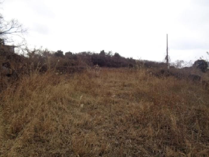 소재지 1. (상명리 1543) 전경