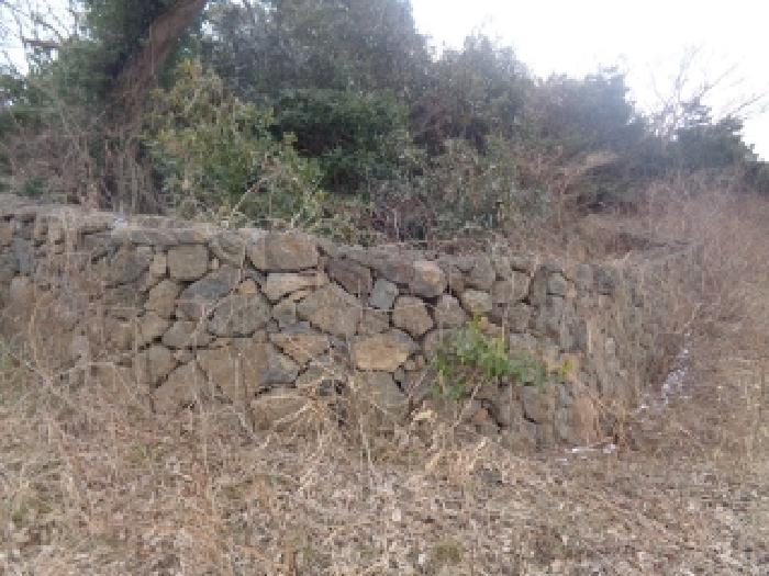 소재지 1. (상명리 1543) 낮은 돌담사진