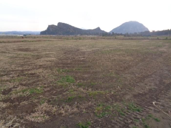 소재지 2. (대정읍 상모리 1066) 전경