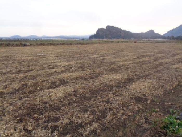 소재지 2. (대정읍 상모리 1066) 전경