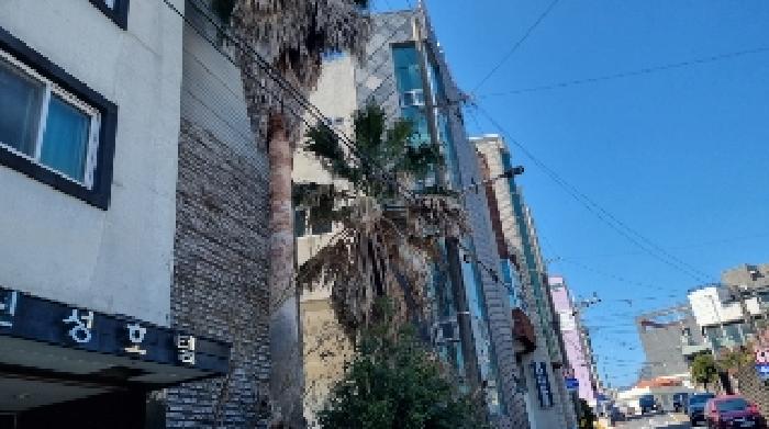 소재지1(서귀동 637-2) 전경2