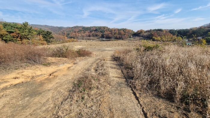 기호 1), 5), 7), 8), 9), 10)