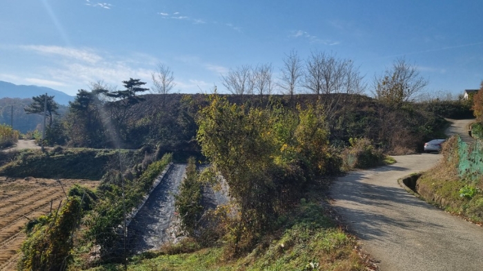 기호 6), 12) 및 전경