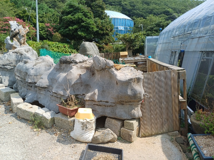 본건2 및 제시