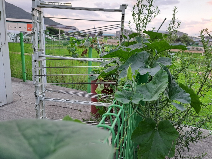 기호(11)토지/ 타인 점유