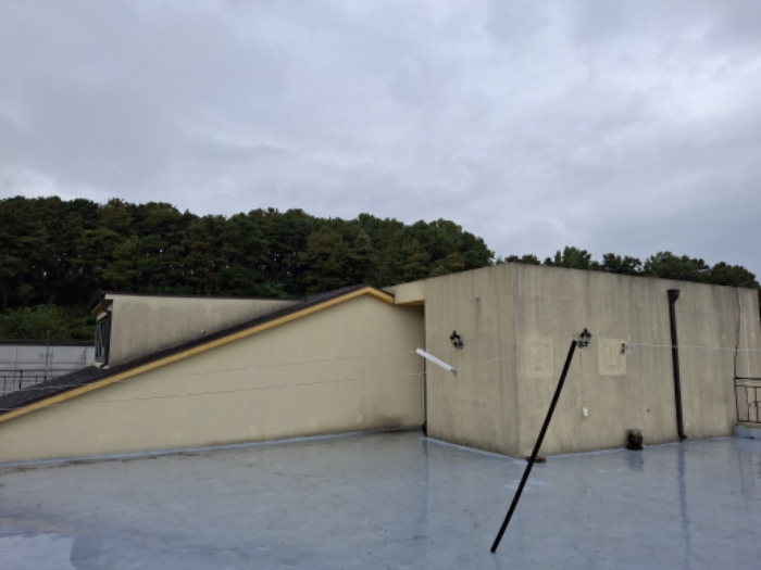 5층 제시외 건물(계단실) 모습