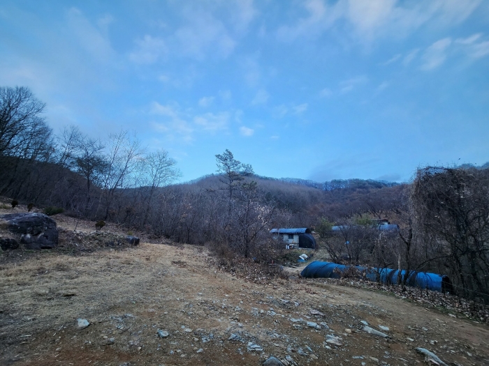 대상물건 전경(서측에서 촬영)