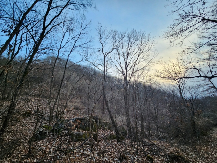 대상물건 전경(북측에서 촬영)