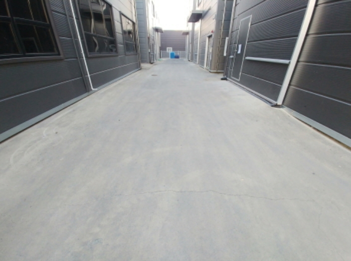 광장 마당 모습3