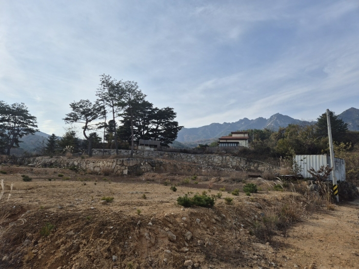 기호(2,3,5,6,8)전경