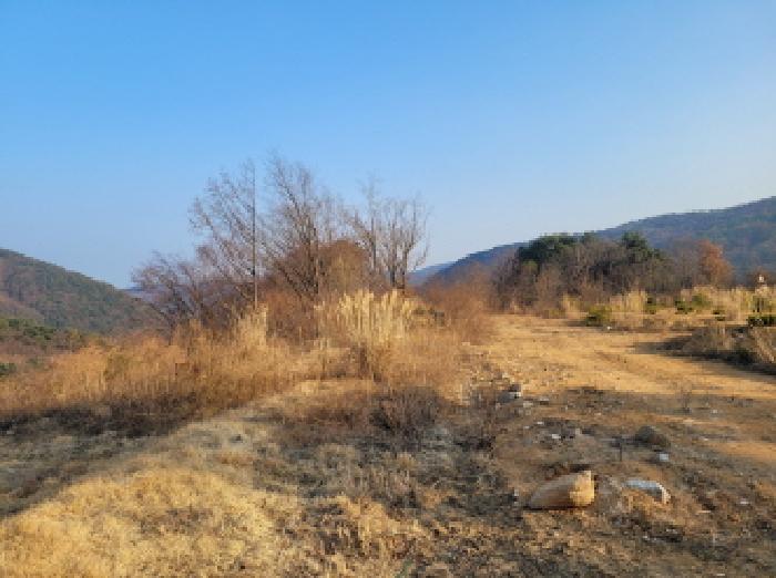 경북 성주군 수륜면 백운리 916-6