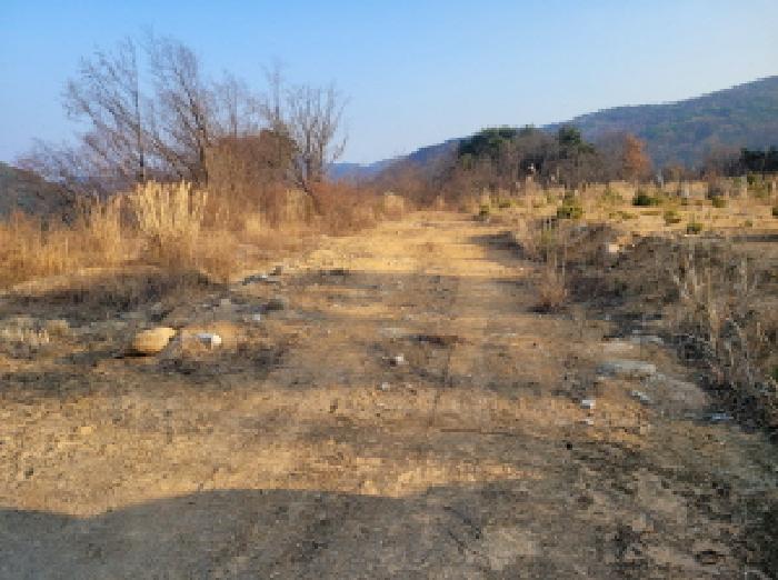 경북 성주군 수륜면 백운리 916-24