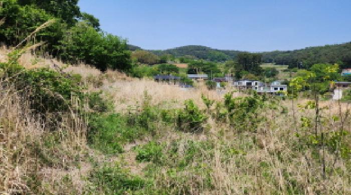 부동산의 표시 1.