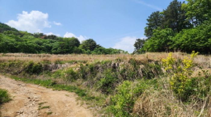 부동산의 표시 2, 3.