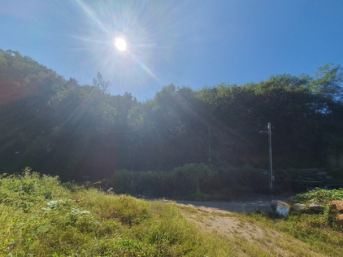 현장사진(토지 전경)