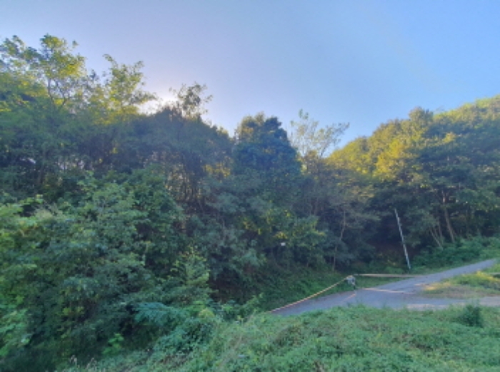 현장사진(토지 전경) 