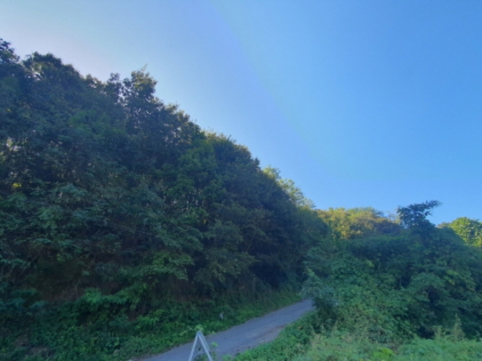 현장사진(토지 전경)