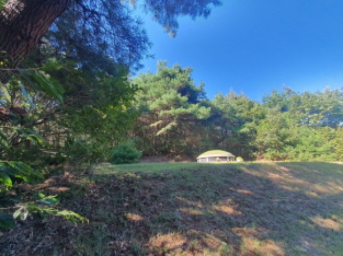 현장사진(토지 전경, 경계부근에 분묘))