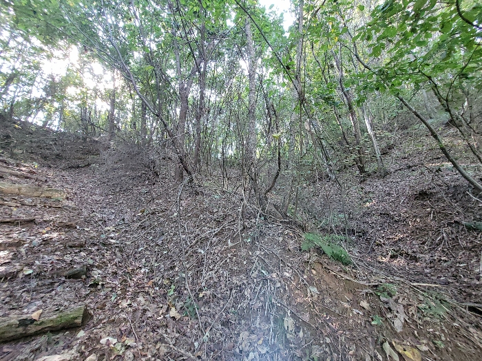 < 본건 전경 >‘><br /><img src=