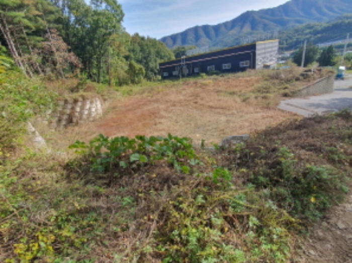 현장사진(토지 전경)