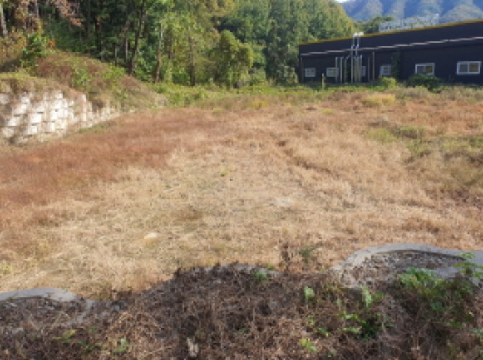 현장사진(토지: 삼합리 347-4 전경)