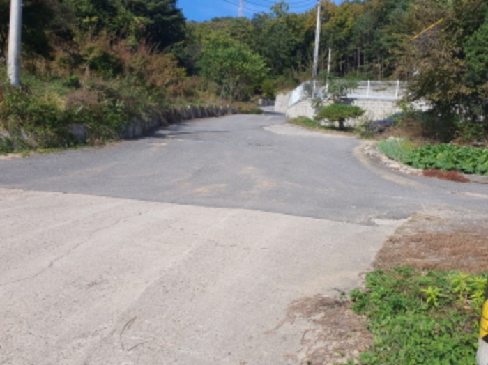 현장사진(토지: 삼합리 347-6, 347-5, 349-4 전경)