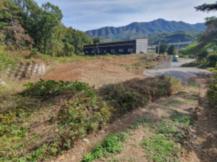 현장사진(토지 전경)