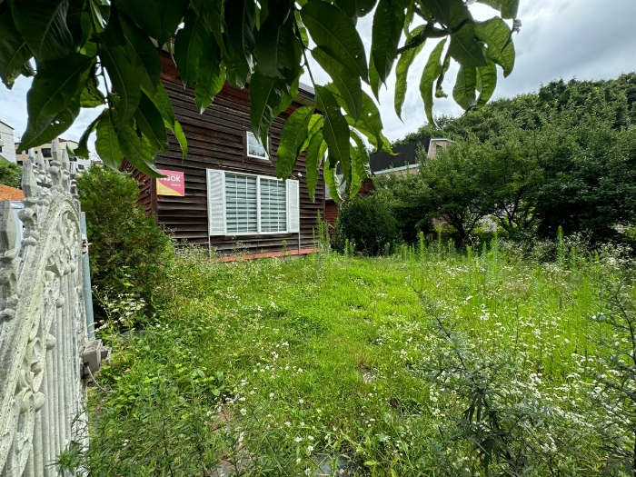 본건기호(1) 전경
