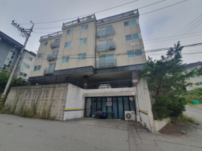 현장 사진(토지