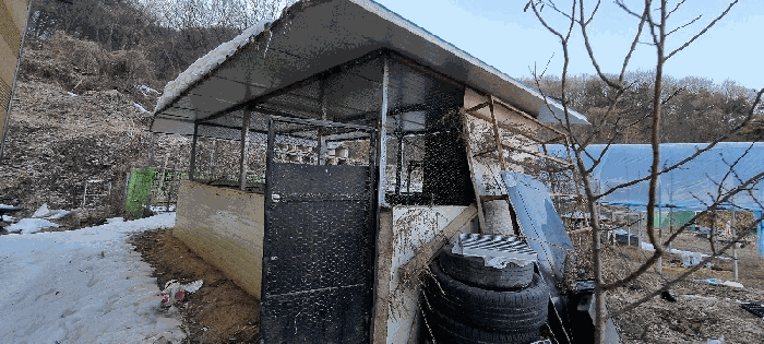 제시외 건물 ㉡