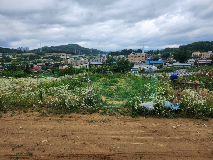 기호(1) 전경(동측에서 촬영)