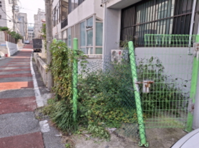 건물 뒷쪽 화단 모습