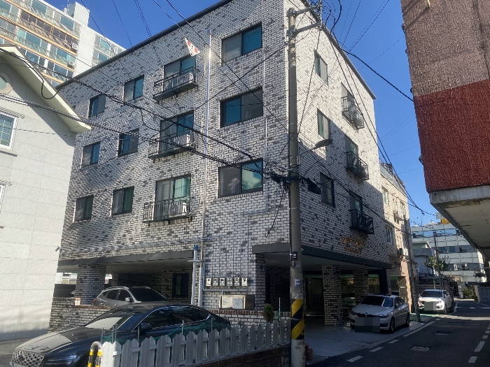 본건(근접촬영)