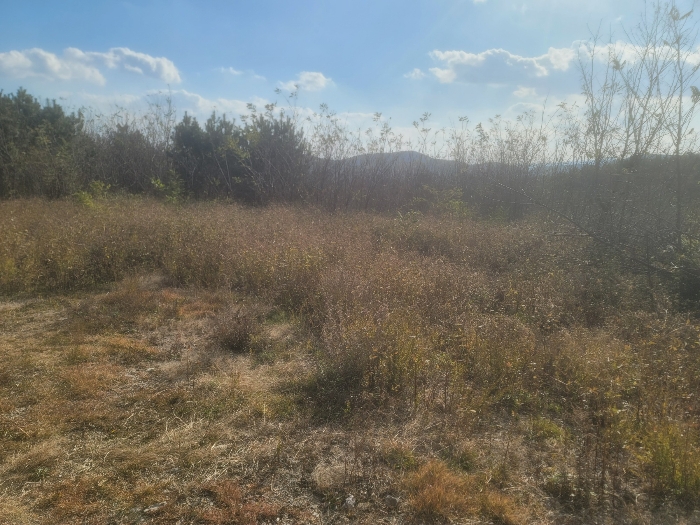 기호(7) 북측부분