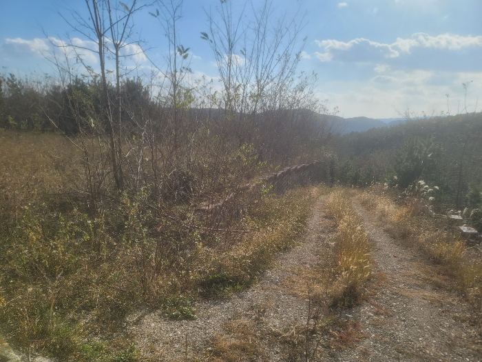 기호(7)북서측에서 촬영