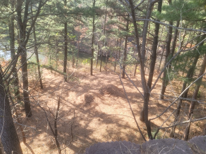 기호(12) 지상 위 분묘