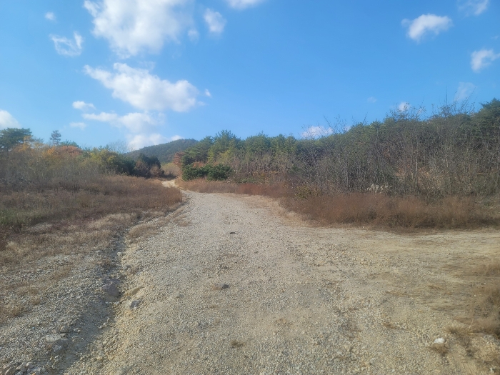 기호(3,5-13,16-20)