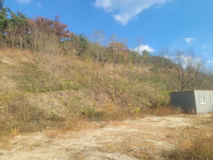 기호(11) 서측에서 촬영