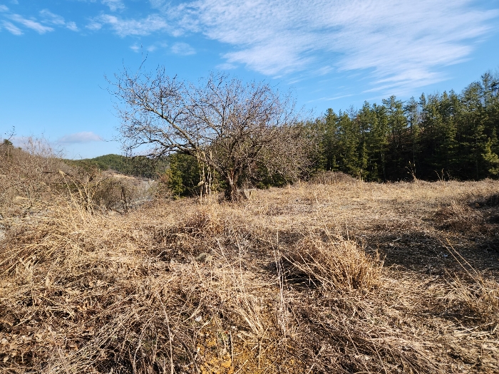 본건의 전경
북동측 부분