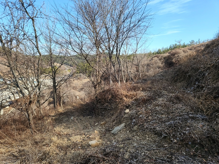 본건의 전경 등