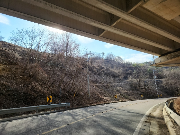 본건의 남서측 부분의 전경
북동측에서 남서측을 향하여 촬영