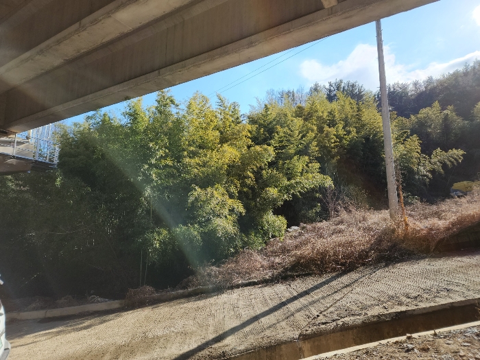 본건 남서측 지적경계부근의 상황
북서측에서 남동측을 향하여 촬영