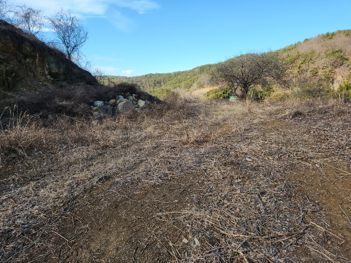 정지된 지반 등