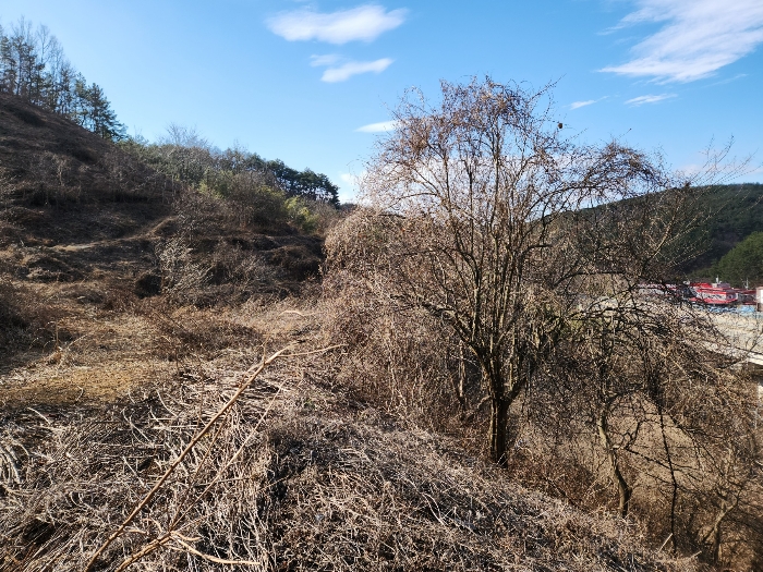 본건의 전경
남서측 부분