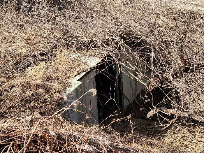 제시외 건물 
(기호ㄱ)