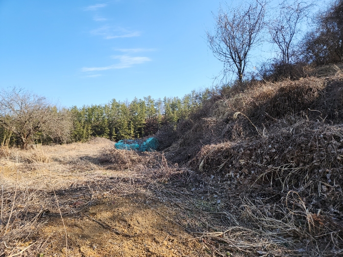 본건의 전경 등