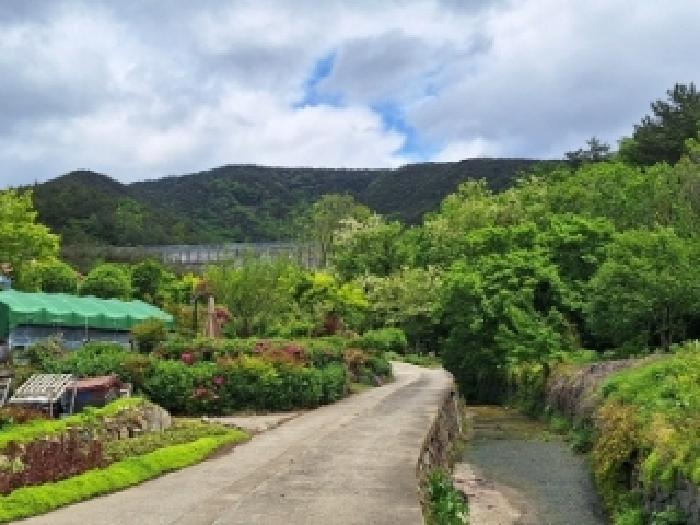 본건2 임야